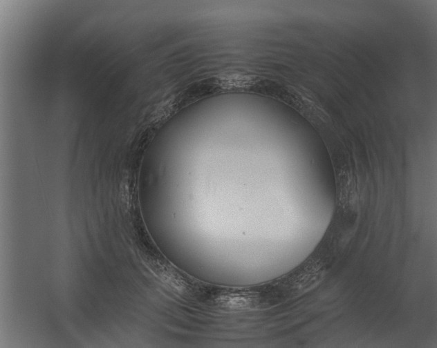 X0000059780655200511041536