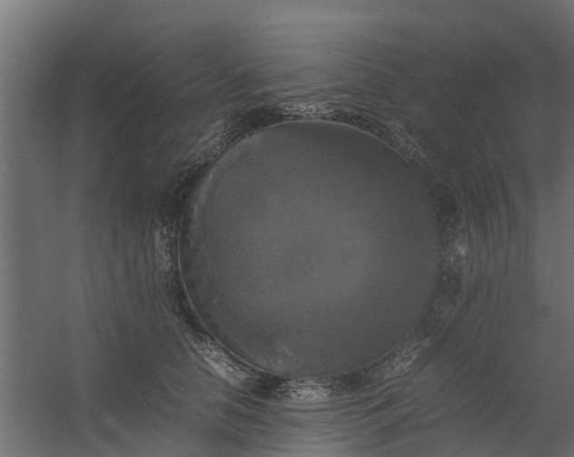 X0000059780658200511041536