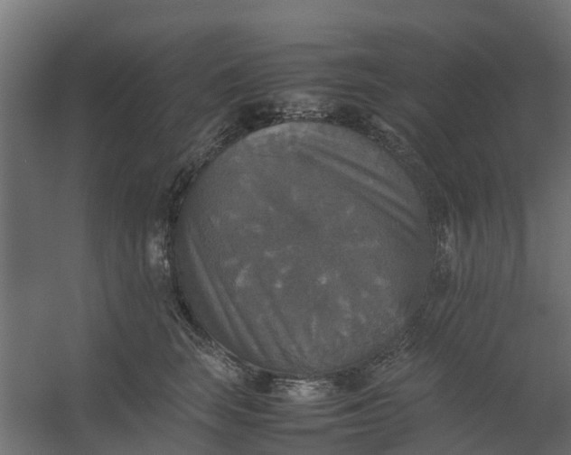 X0000059780663200511041536