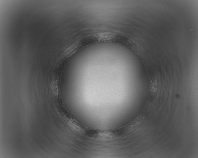 X0000059780666200511041536