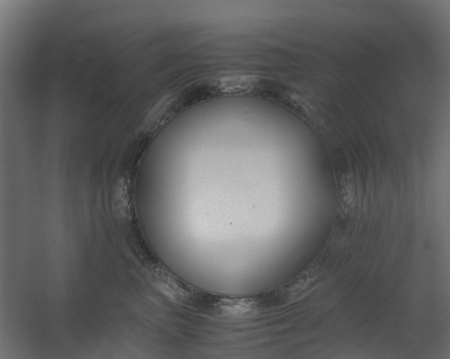 X0000059780667200511041536