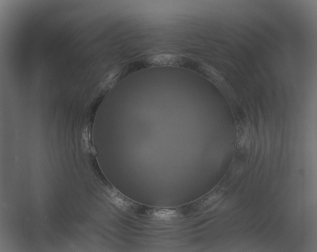 X0000059780669200511041536