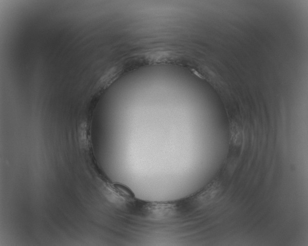 X0000059780670200511041536