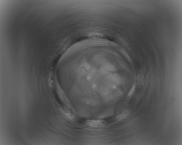 X0000059780671200511041536