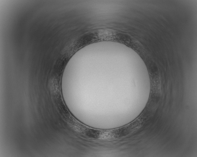 X0000059780705200511041535
