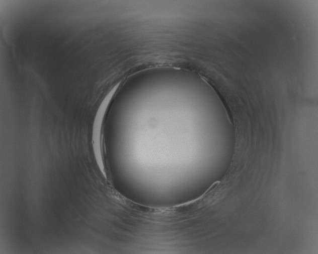 X0000059780720200511041534
