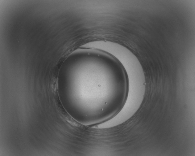 X0000059780766200511041534