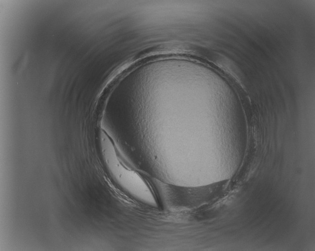 X0000059780781200511041533