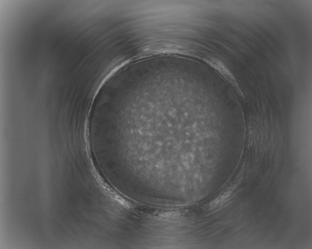 X0000059780798200511041533