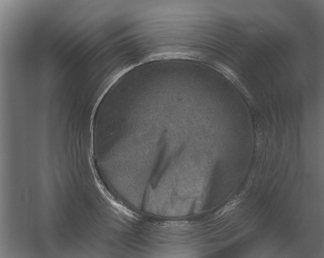 X0000059780844200511041532