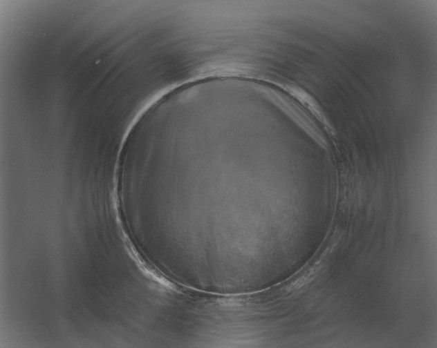 X0000059780904200511041531