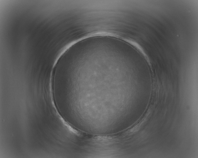 X0000059780910200511041531
