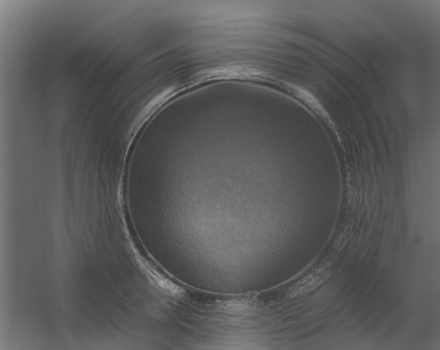 X0000059780946200511041531