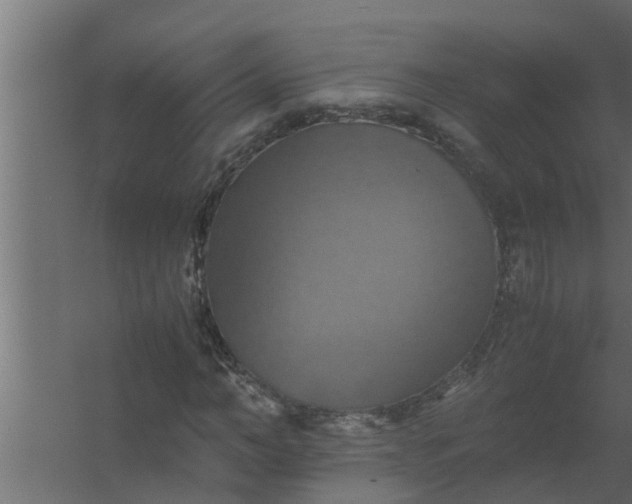 X0000059780966200511041530