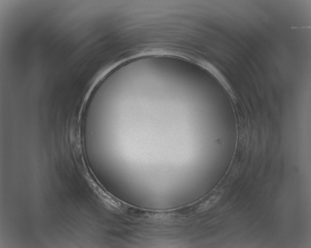 X0000059781004200511041529