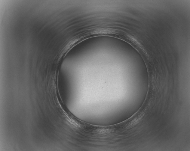 X0000059781033200511041529