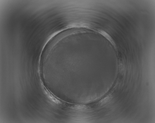 X0000059781052200511041529