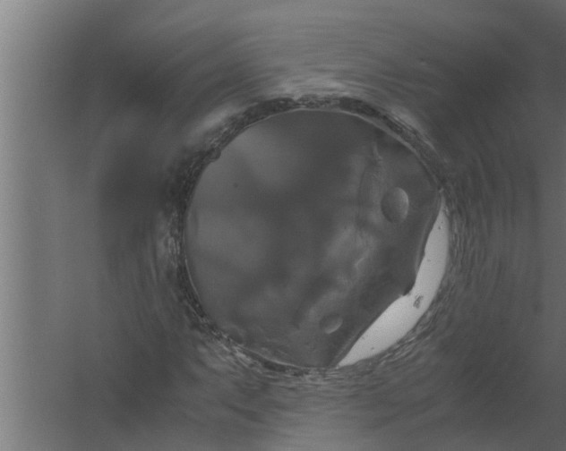 X0000059781063200511041528