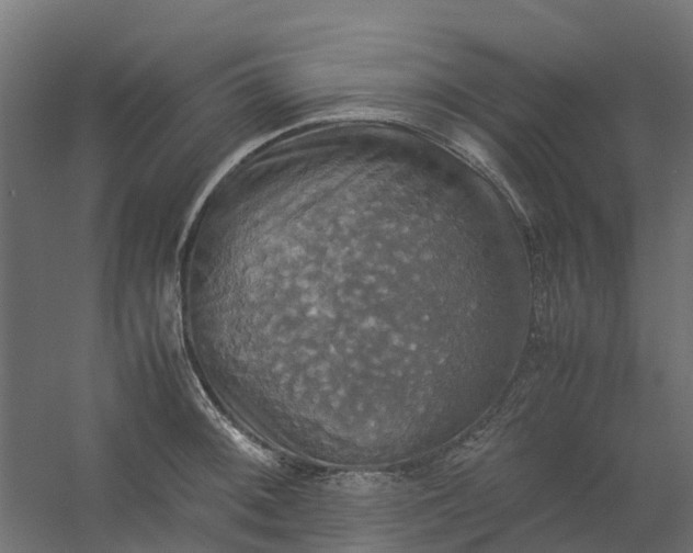 X0000059781092200511041528