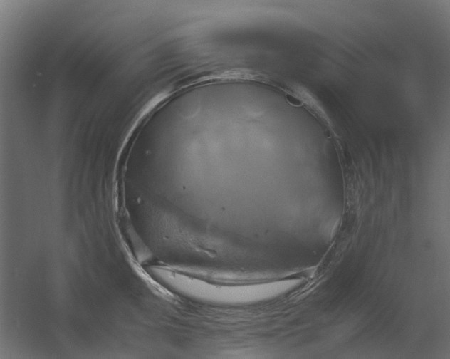 X0000059781095200511041528