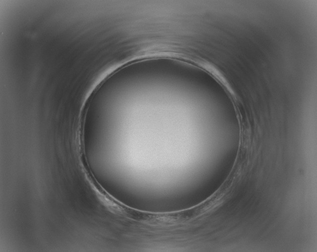 X0000059781101200511041528
