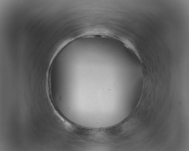 X0000059781103200511041528