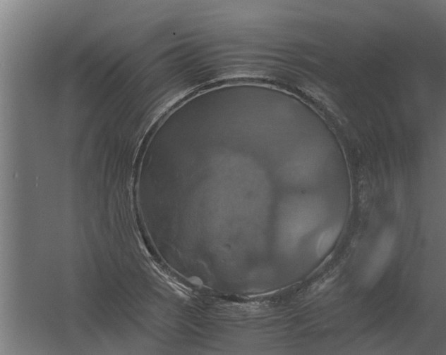 X0000059781121200511041527