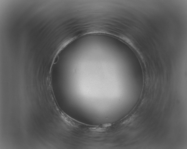 X0000059781145200511041528