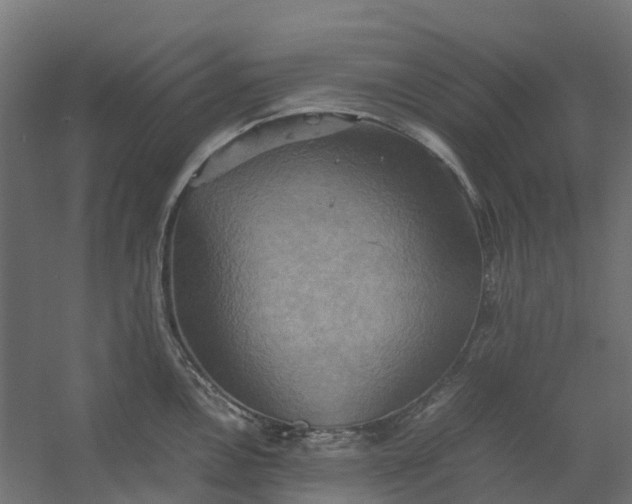 X0000059781146200511041528