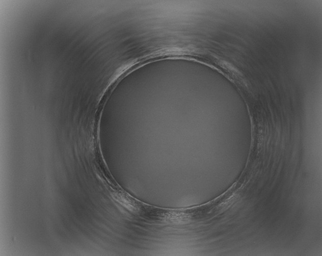 X0000059781170200511041527