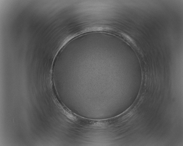 X0000059781178200511041527