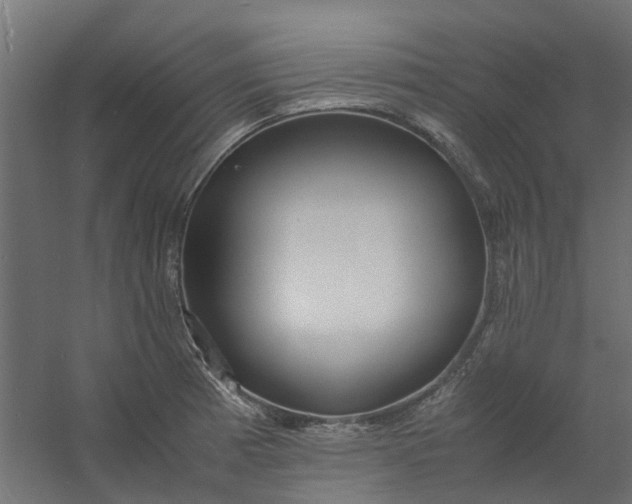 X0000059781185200511041526