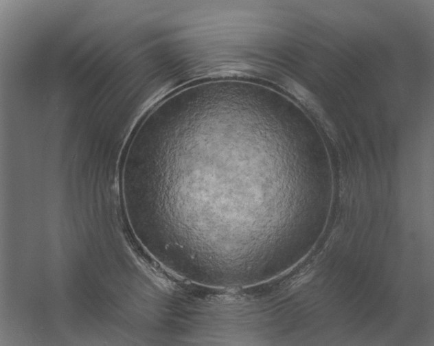 X0000059781234200511041526