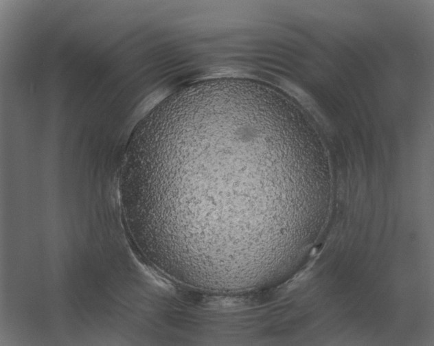 X0000059781241200511041526