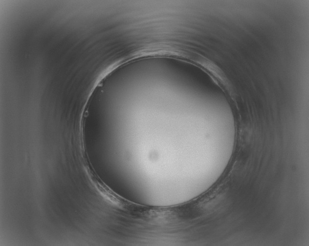 X0000059781242200511041526