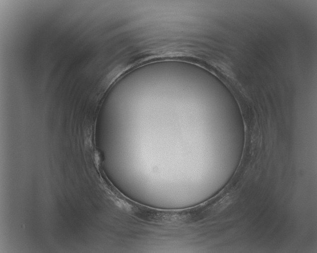 X0000059781273200511041525