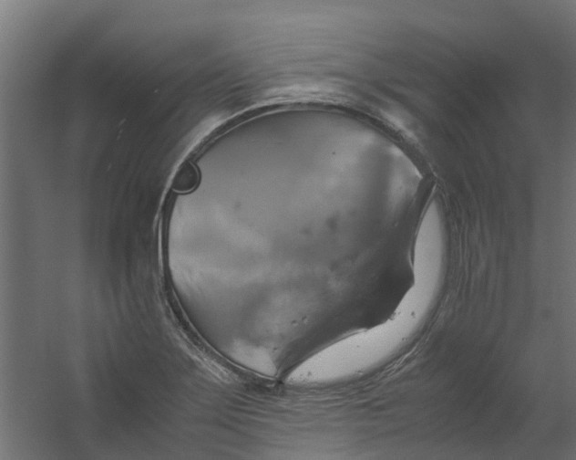 X0000059781275200511041525