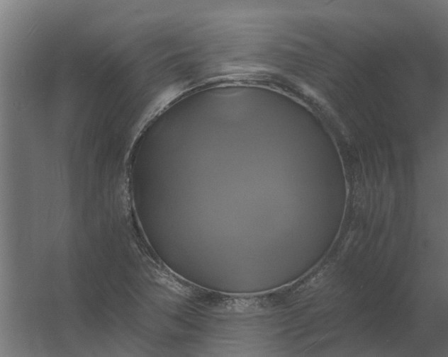 X0000059781362200511041523