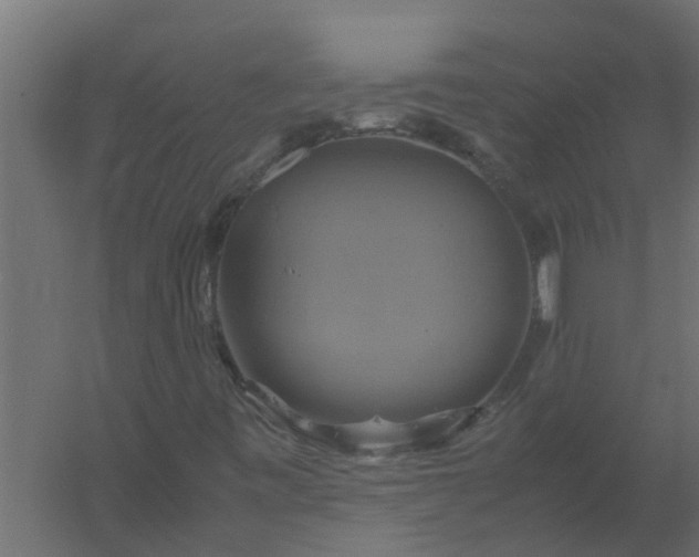X0000059781443200511041522