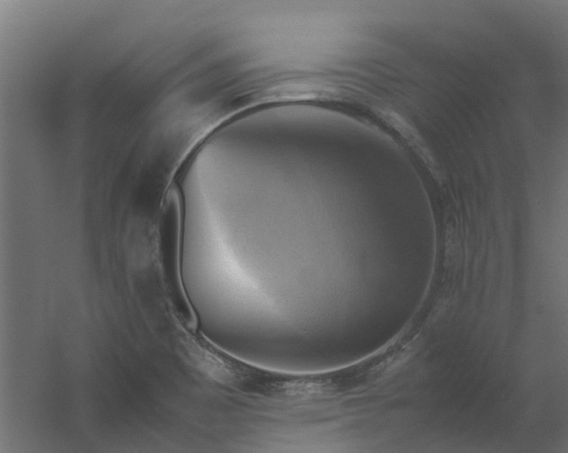 X0000059781465200511041522