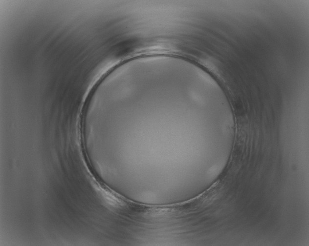 X0000059781474200511041522