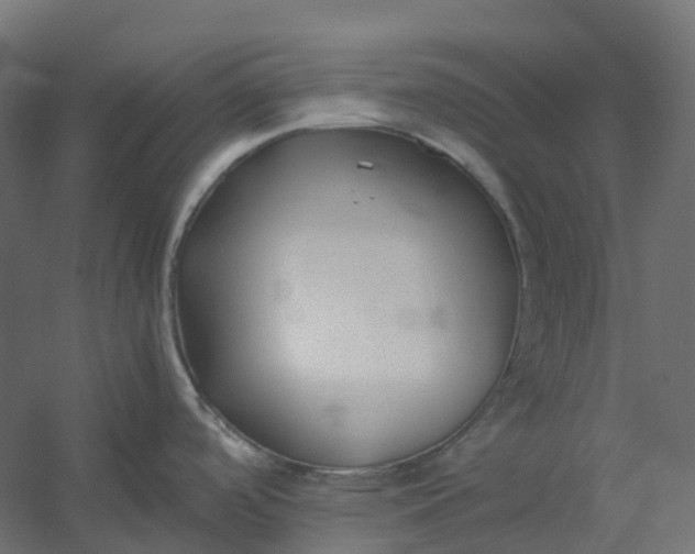 X0000059781488200511041521