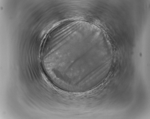 X0000059780002200511111521