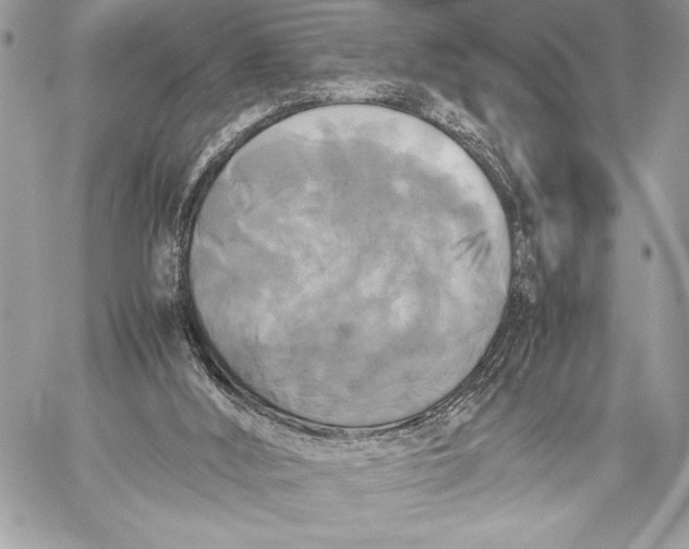 X0000059780012200511111521