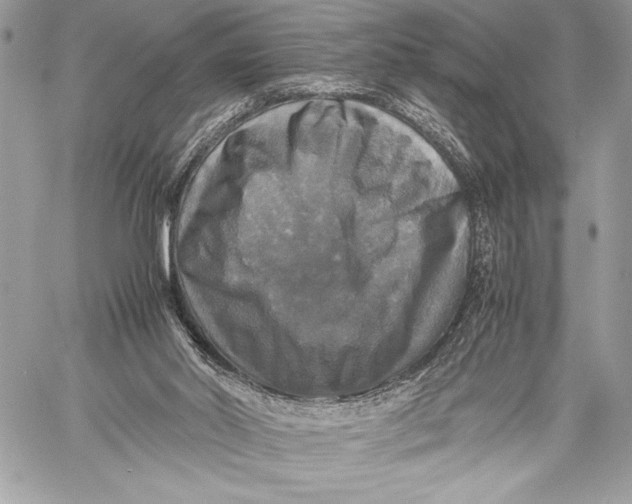X0000059780014200511111521