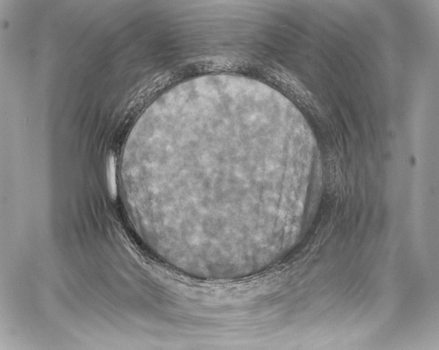 X0000059780022200511111521