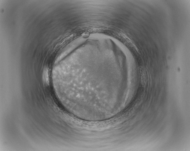 X0000059780026200511111521