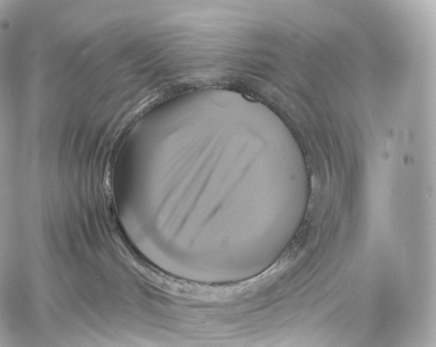 X0000059780048200511111520