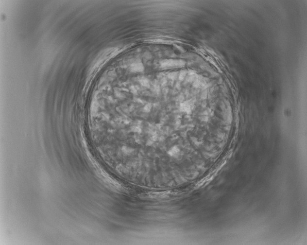 X0000059780049200511111520