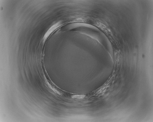 X0000059780051200511111520